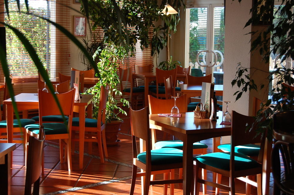 Ibis Jerez De La Frontera Cadiz Hotell Eksteriør bilde